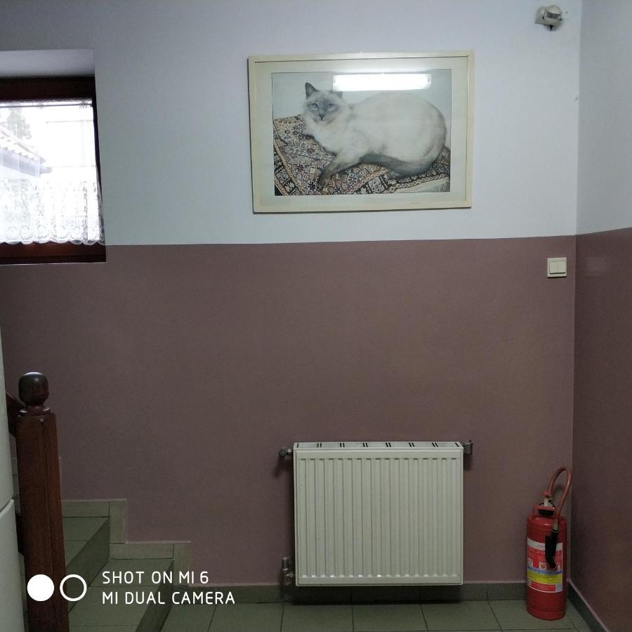 Pokoje Goscinne Sonia Tuszyn Exterior foto